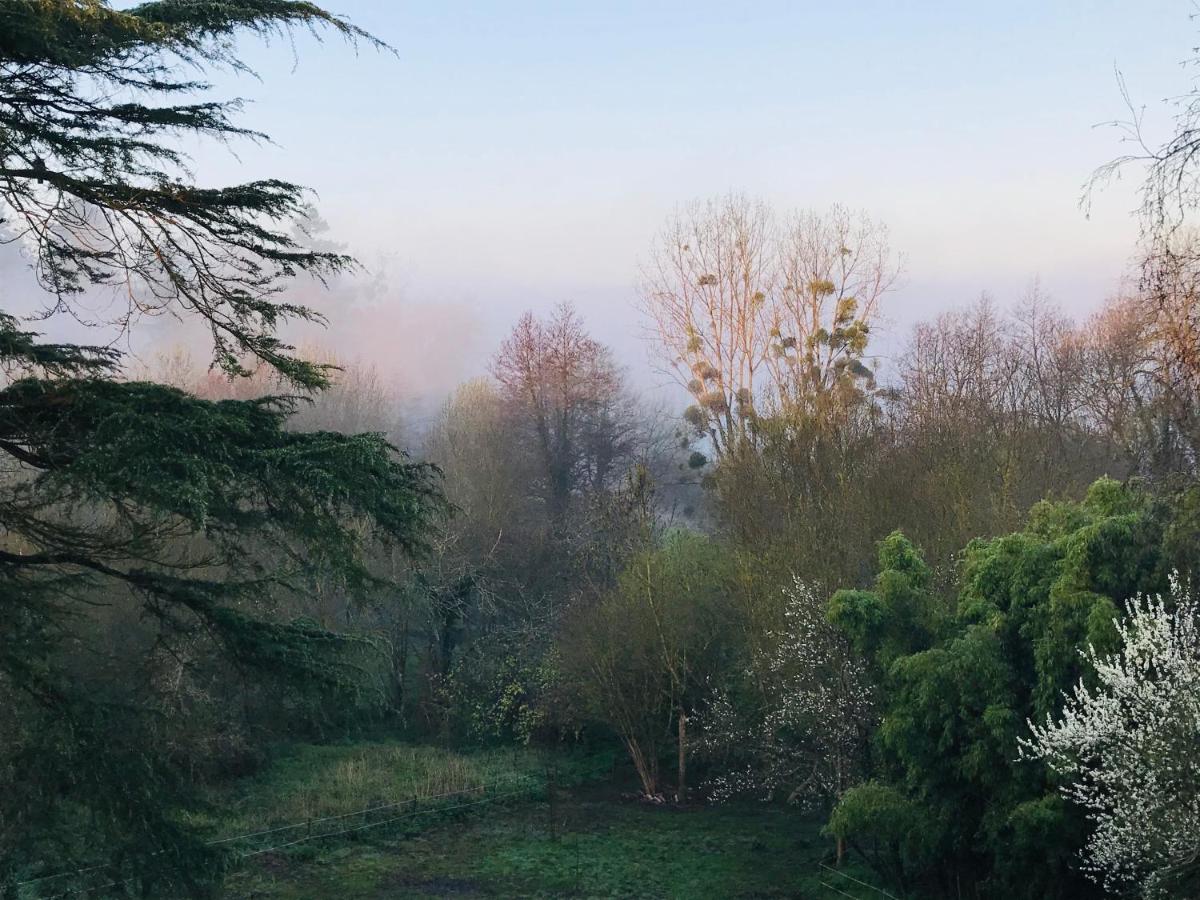 Doppelzimmer mit Gartenblick