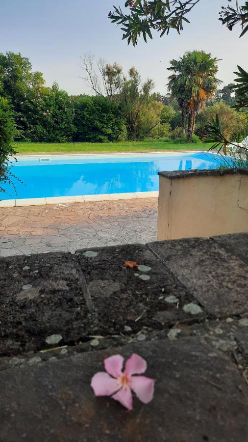 Podere Il Cerrone app Romilda con piscina - Ferienwohnung Fauglia