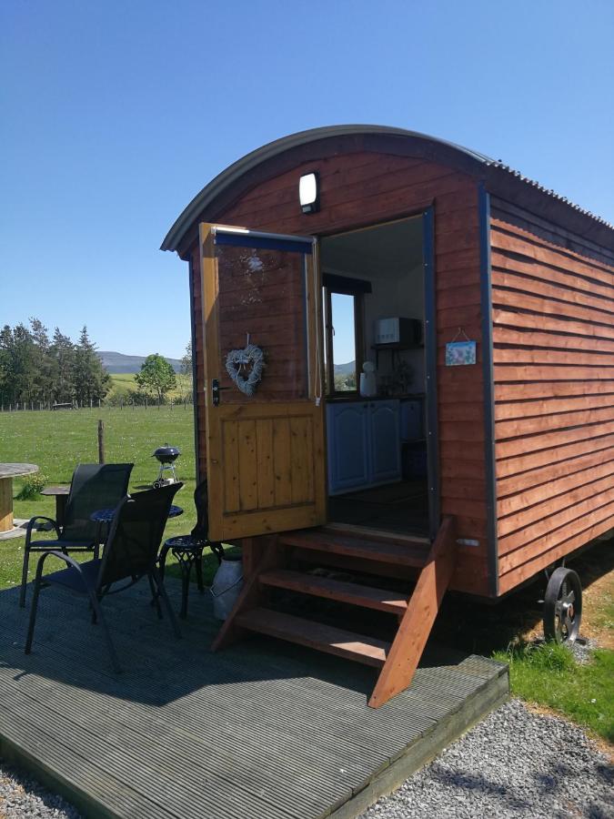 B&B Long Marton - Sunny Mount Shepherd's Hut - Bed and Breakfast Long Marton