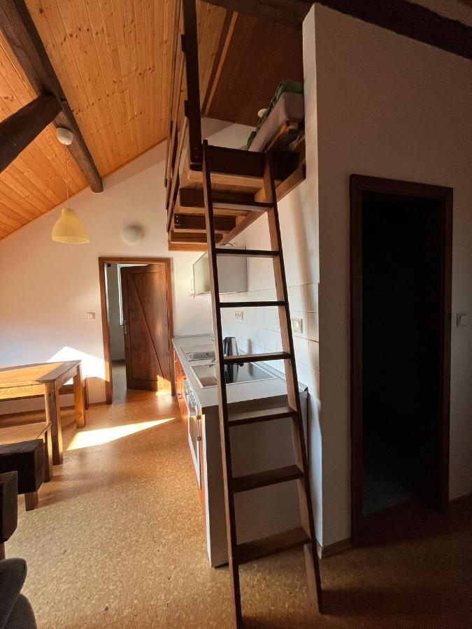 One-Bedroom Apartment (5 Adults)