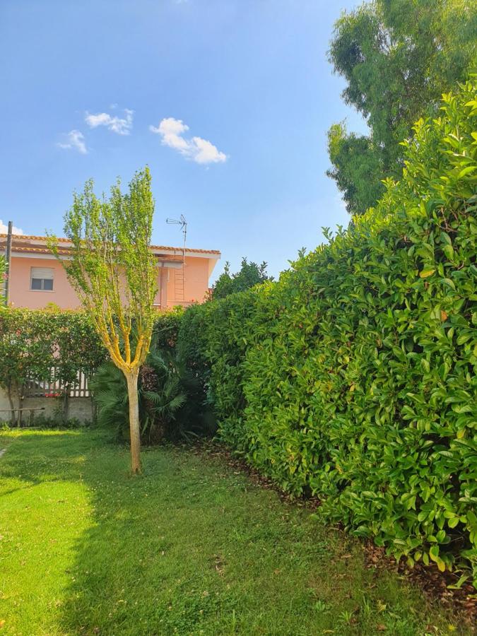 B&B Fiumicino - Andrea's House - Bed and Breakfast Fiumicino