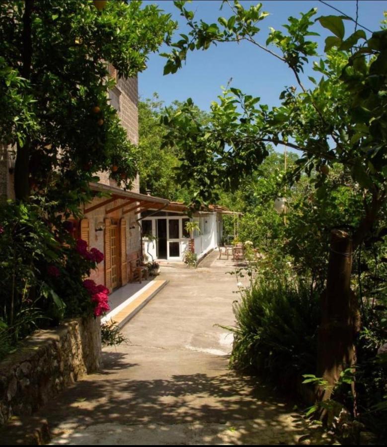 B&B Sant'Agnello - Agriturismo b&b L arancio In fiore - Bed and Breakfast Sant'Agnello