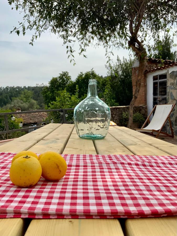 La Casita - B&B Fuente del Oro