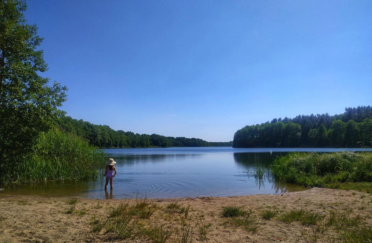 Kaszuby domek nad jeziorem, las, grill, ognisko, taras, 6 osób - Chambres d'hôtes Bożepole Królewskie