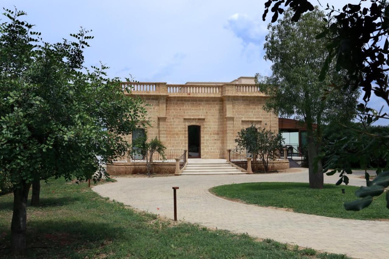 Carrubia - B&B Nardò