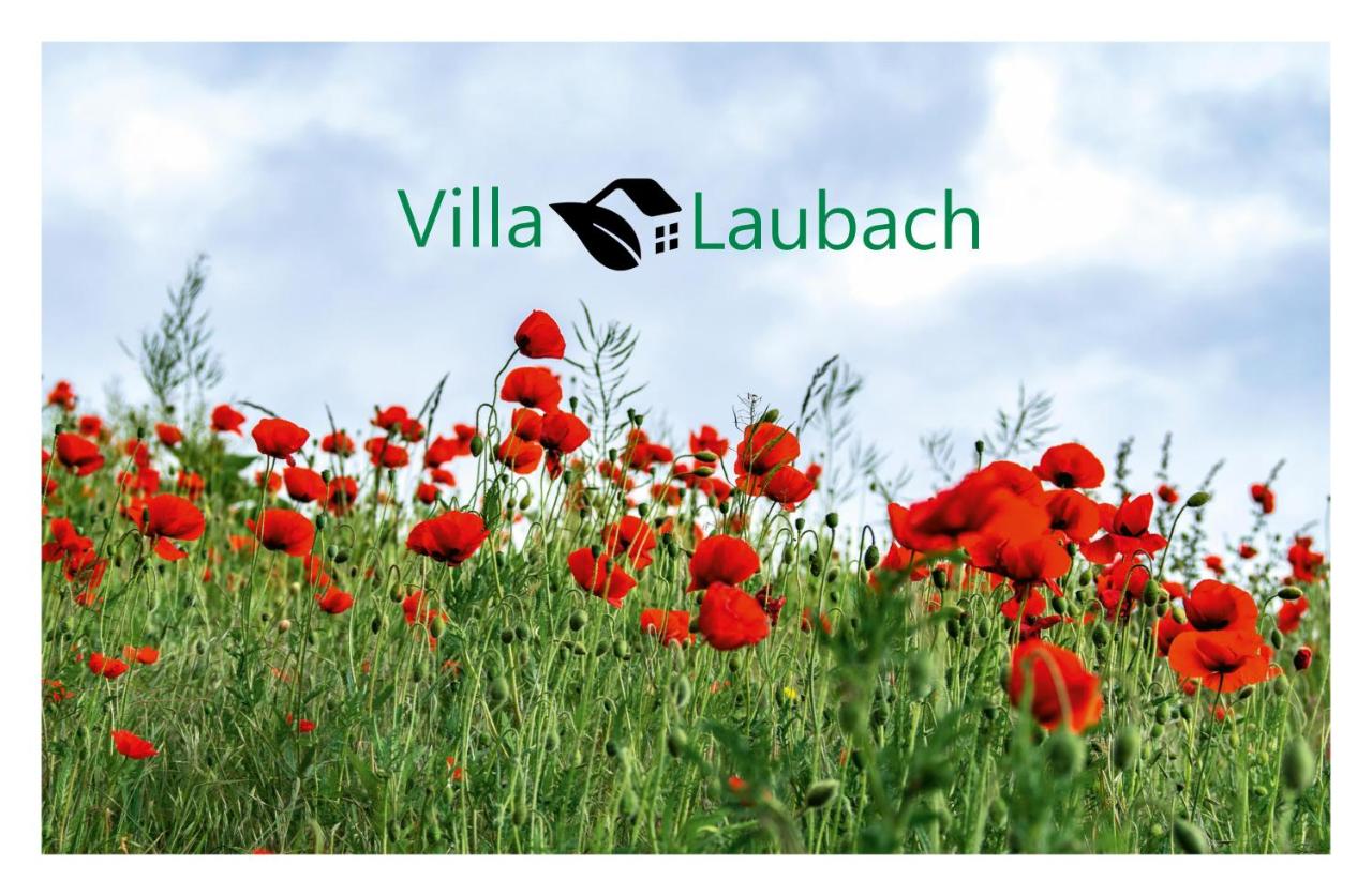 B&B Laubach - Villa Laubach - Bed and Breakfast Laubach