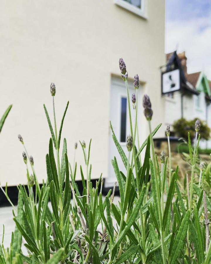 2 Bed Village Cottage With Free Parking For Work Stays & Holiday Breaks - B&B Newton Aycliffe