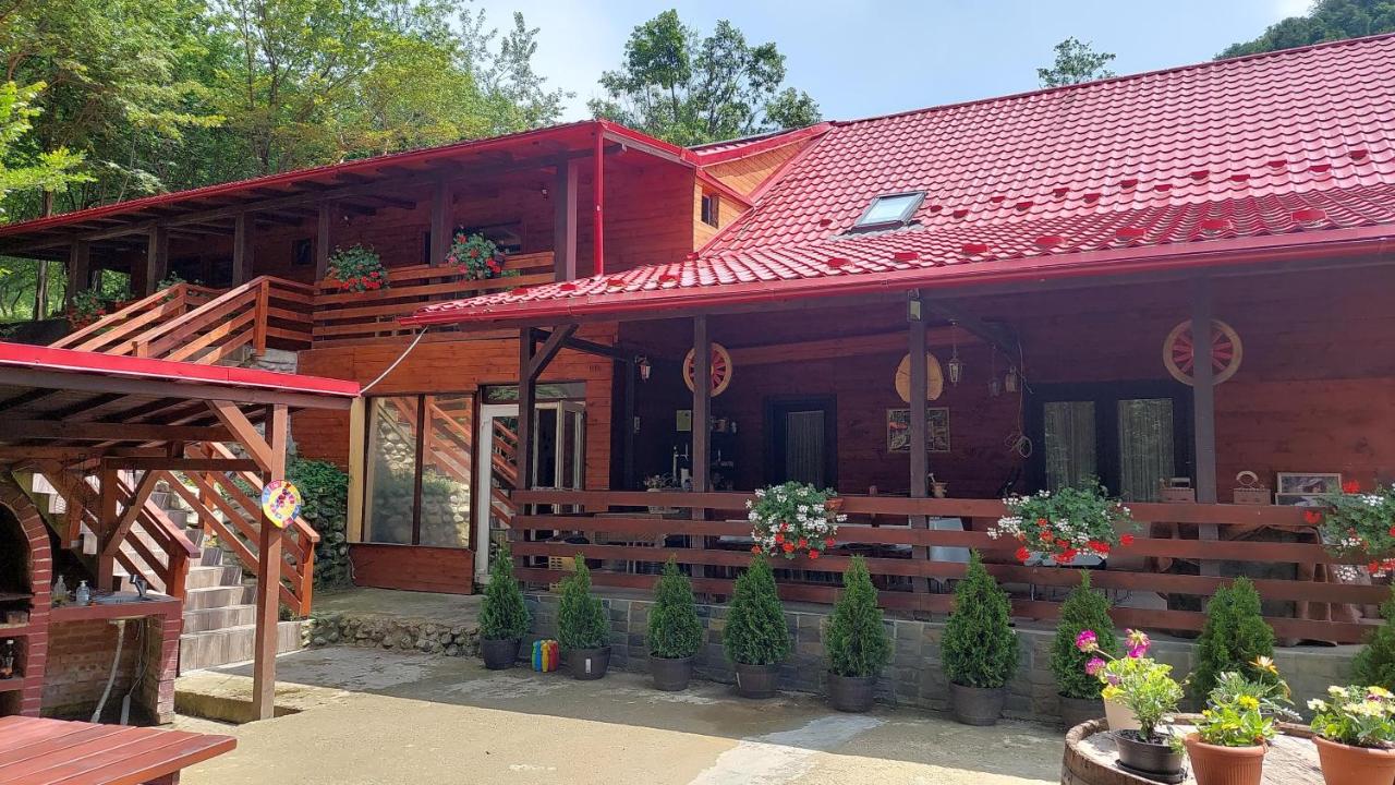 Cabana Alpha - B&B