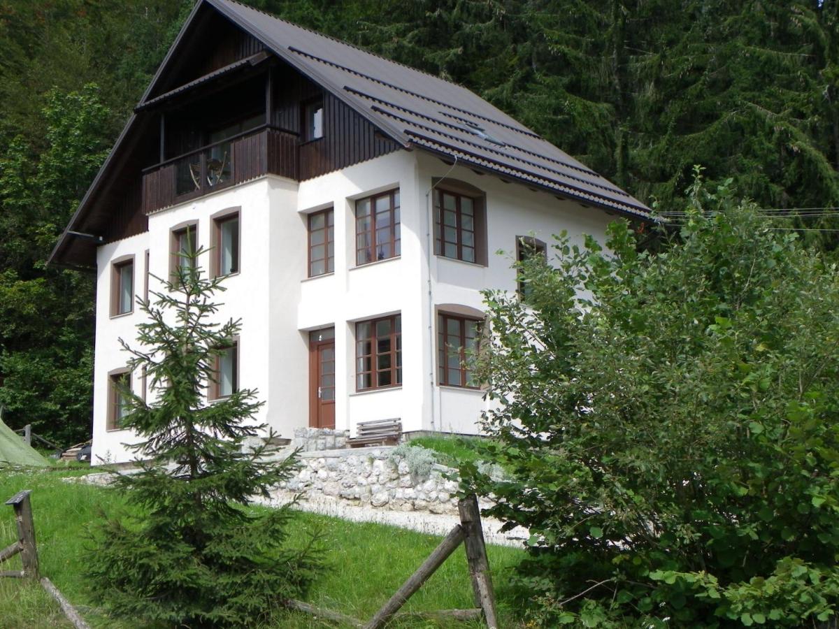 Triglav Park House - B&B Bled