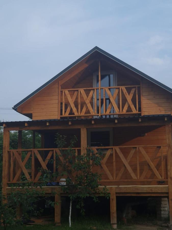 Piniowy Domek - Roztocze - B&B