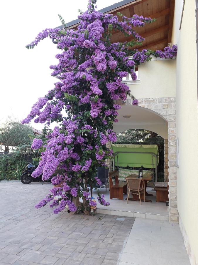 Appartement - Begane Grond