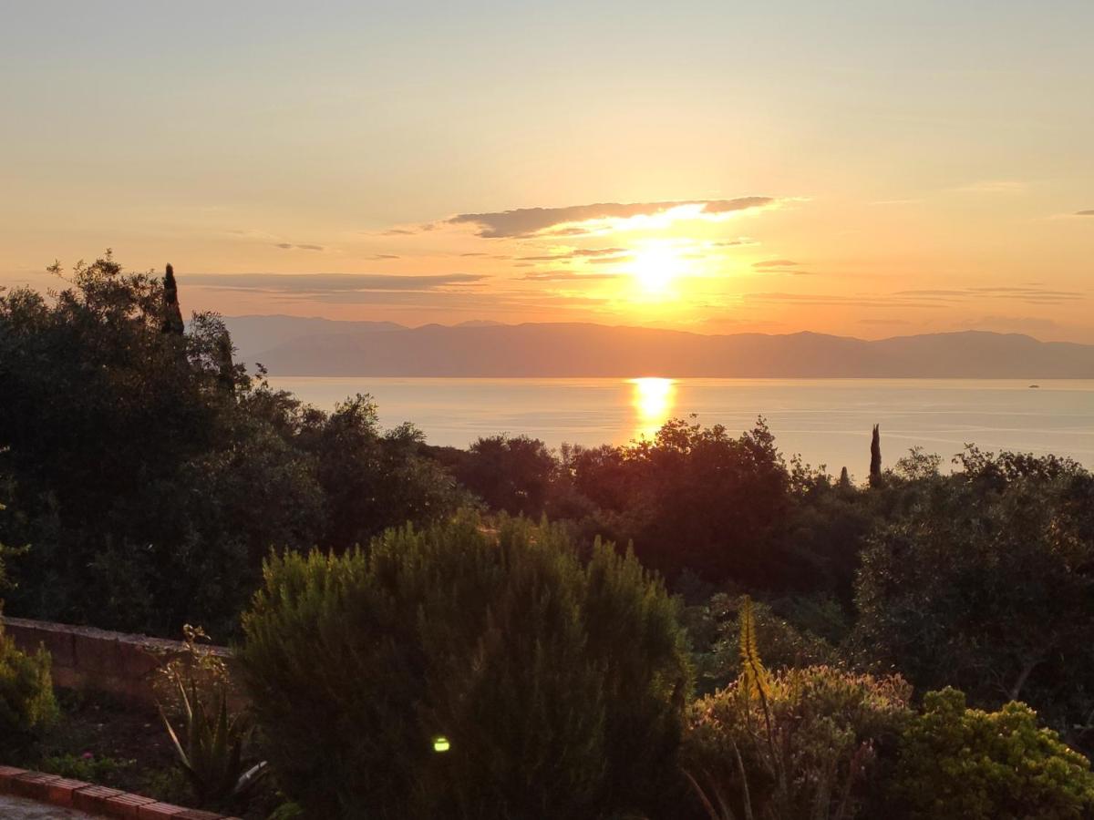 Maison 1 Chambre