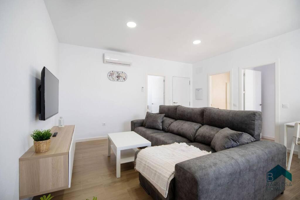 Bisonte C - B&B Chiclana