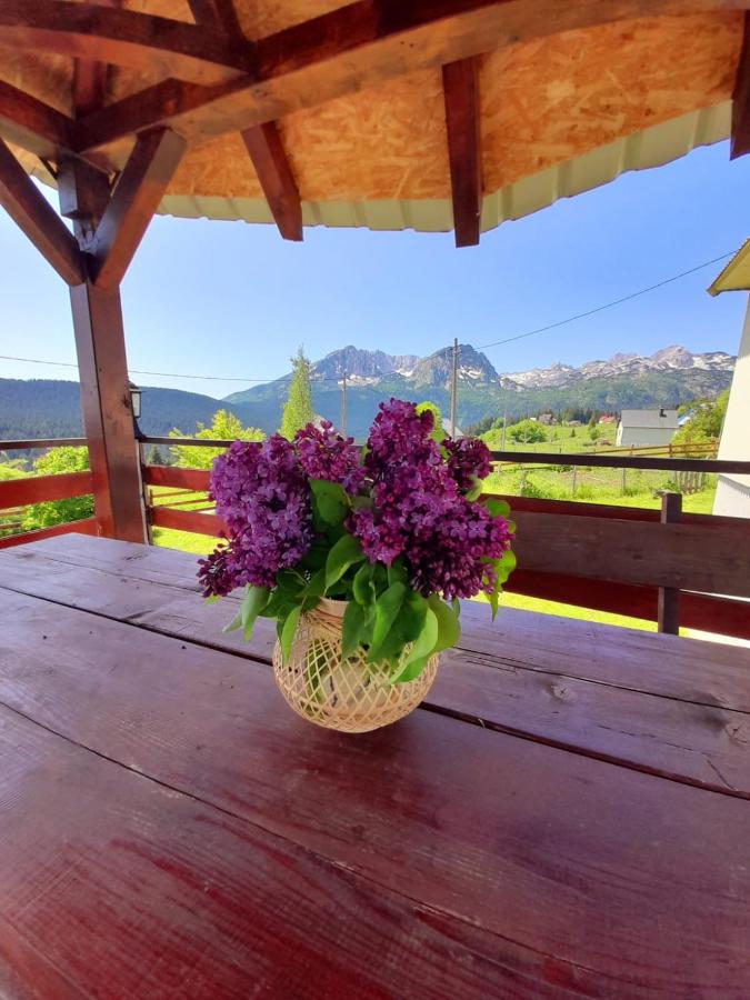 B&B Žabljak - DURMITOR APARTMAN PITOMINE sa saunom - Bed and Breakfast Žabljak