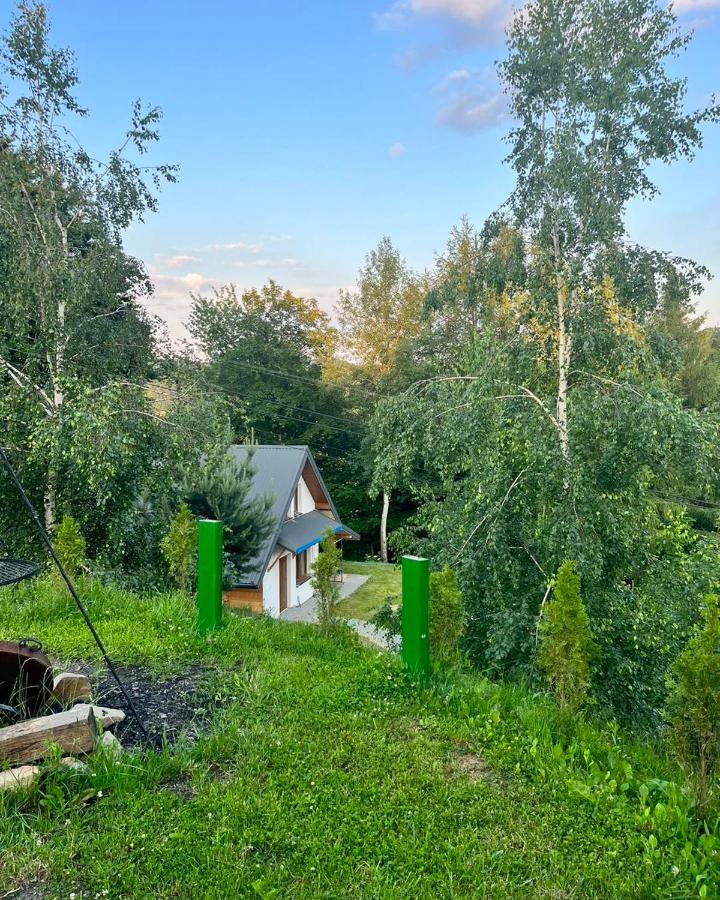 Brzozowe Wzgórze - Bed and Breakfast
