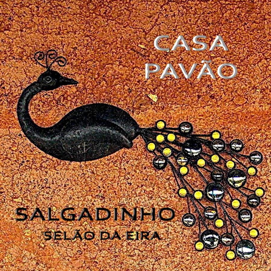 CASA PAVÃO (SALGADINHO - SELÃO DA EIRA) - B&B São Teotónio