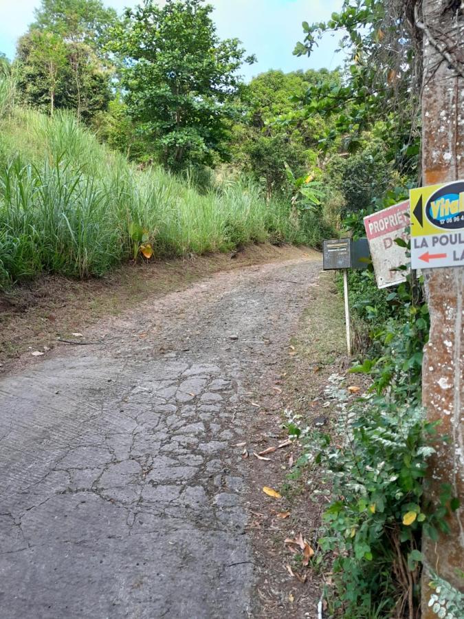 La Fée amazonienne - B&B Rivière-Pilote