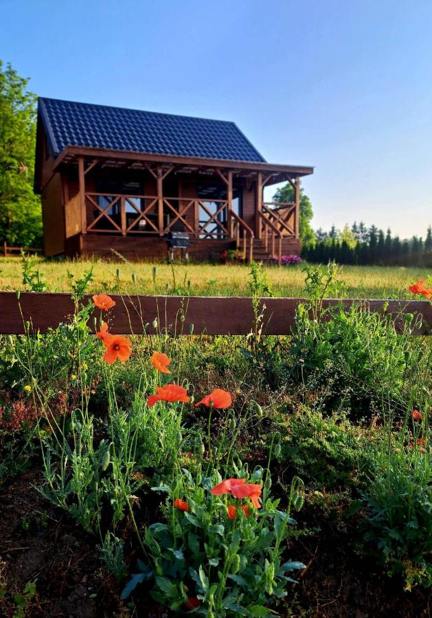 Domki Na Wzgórzu - domek nr 1 - B&B Mrągowo