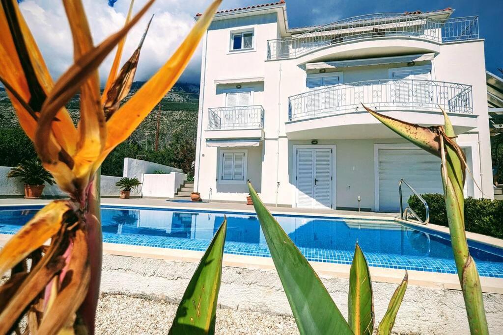 Upsidedown Villa. Amazing Views! - B&B