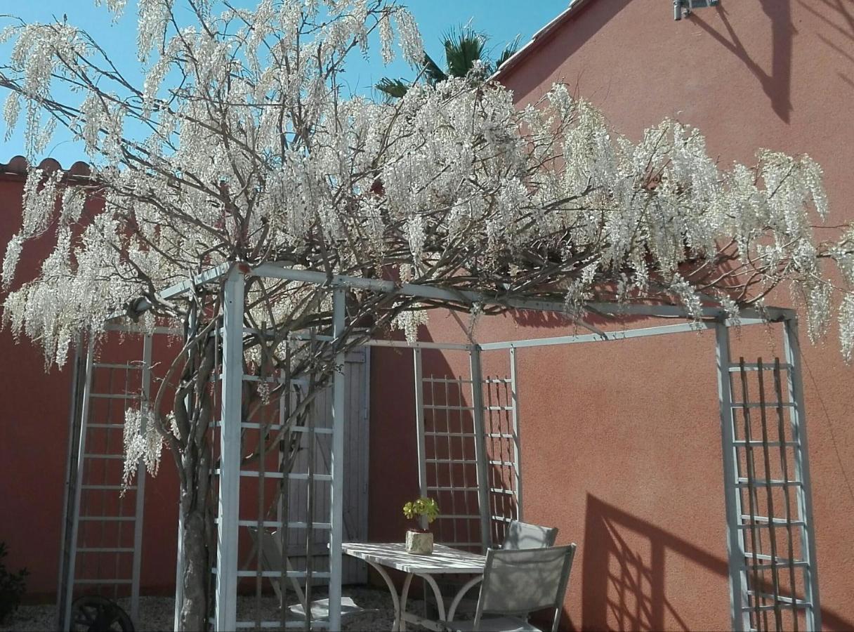 B&B Le Soler - GITE MAS URANIE - Bed and Breakfast Le Soler