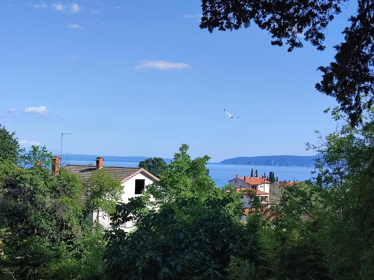 Apartment Mimi - B&B Opric