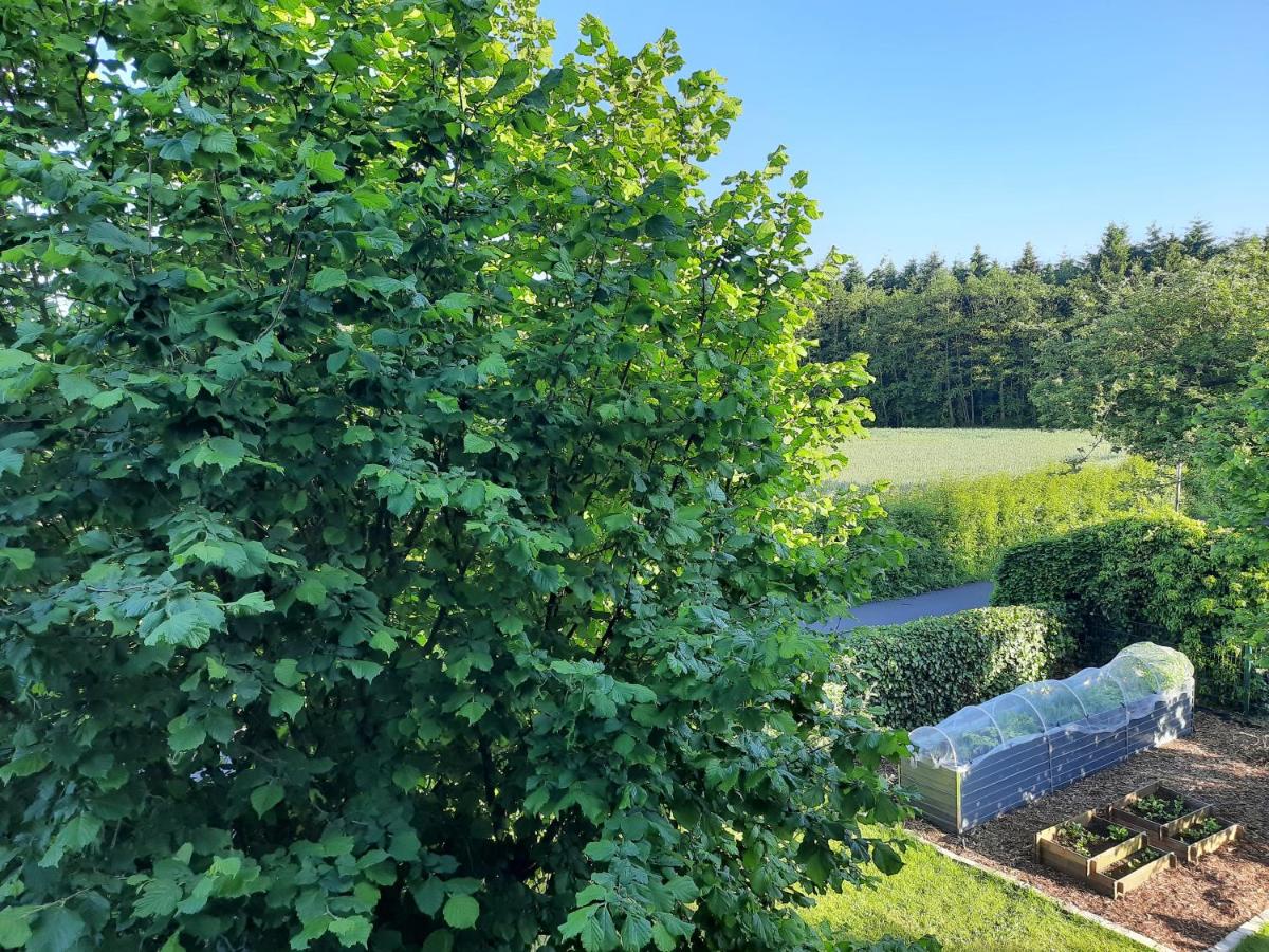 Ferienwohnung Rosi - Bed and Breakfast