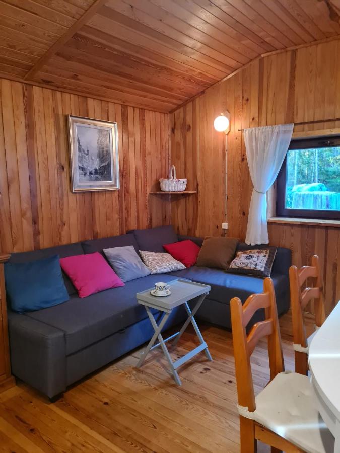 Między Sosnami - B&B Jedwabno