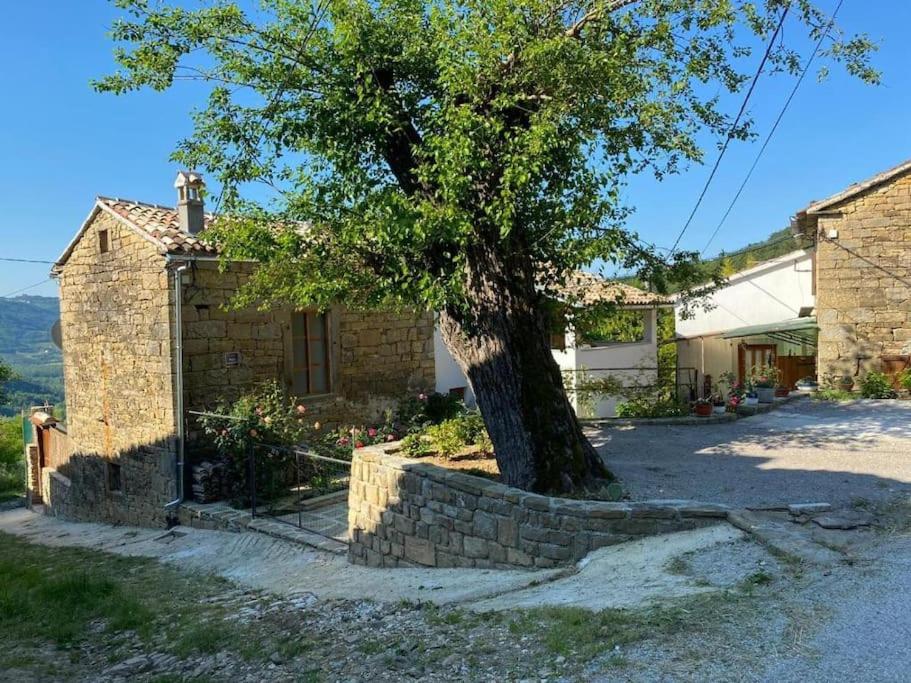 Kuća Zanetta sa bazenom - B&B Buzet