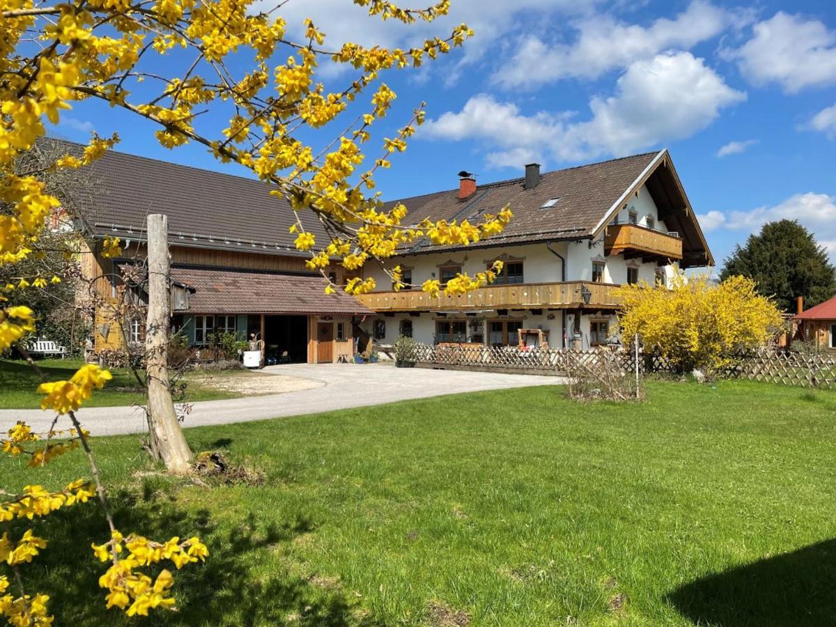 Ferienwohnungen Dopplerhof - Ferienwohnung Piding