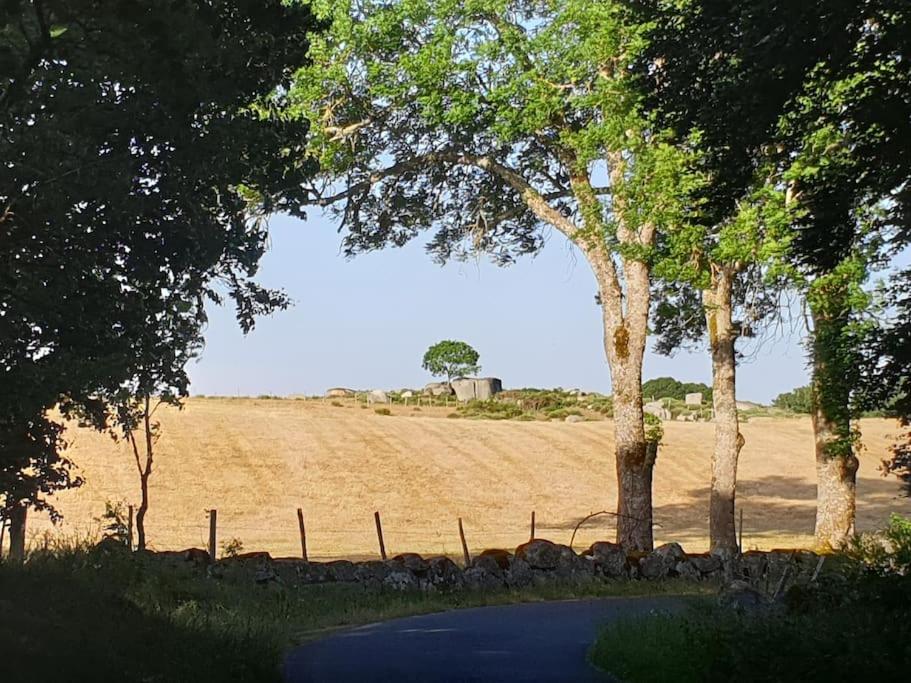 Appartement 6 pers sur l'Aubrac à proximité de Nasbinals - B&B Prinsuéjols