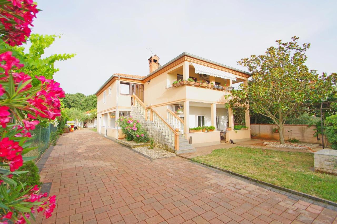 Apartment Pineta in village Valbandon - B&B Valbandon