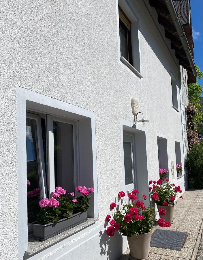 House Natura with garden - Chambres d’hôtes Bovec