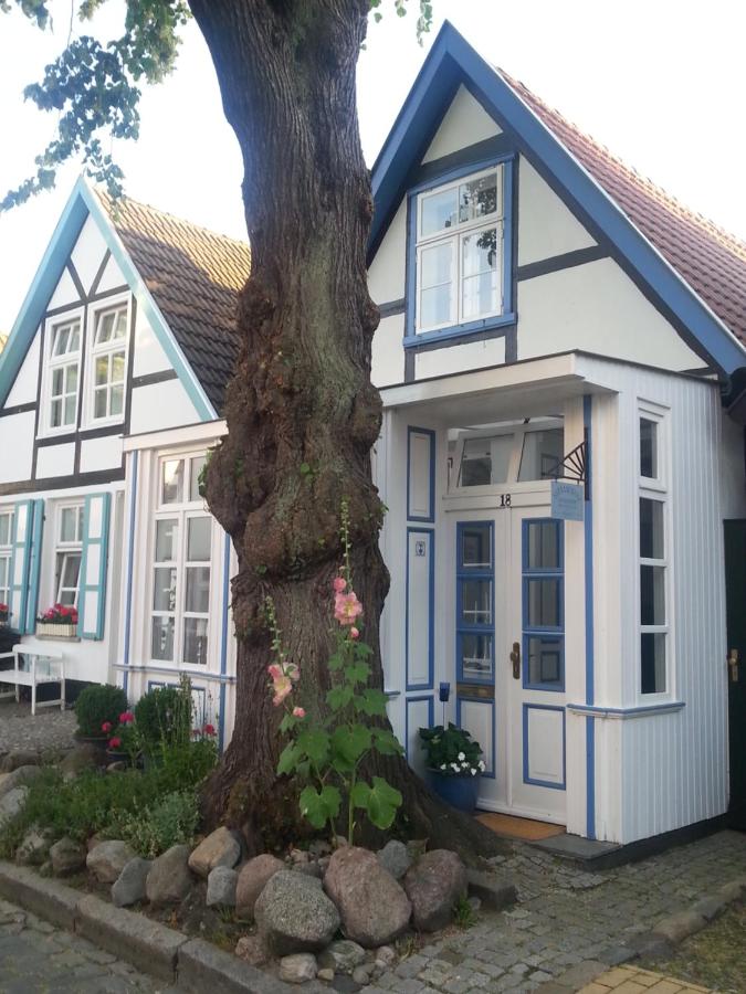 Haus Alexandrine - B&B