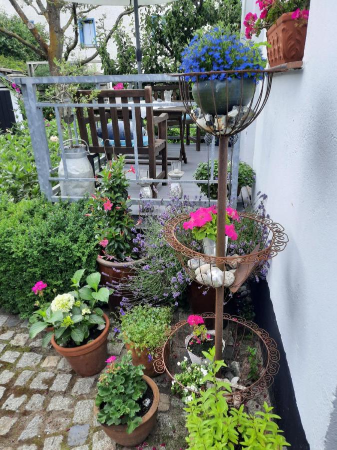 Haus Alexandrine - Ferienwohnung Warnemünde