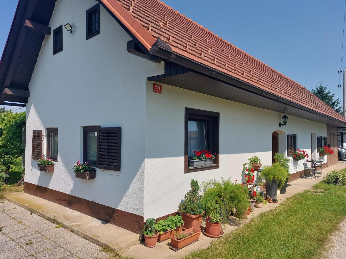 B&B Sankt Veit über Pettau - Apartma Vida - Bed and Breakfast Sankt Veit über Pettau