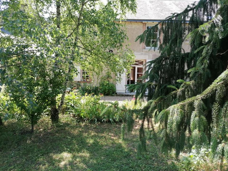 La Robinière Maison d'Hôtes - B&B