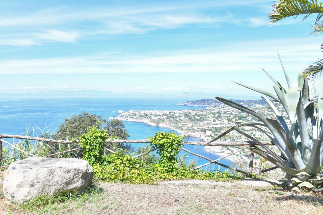 Charming panoramic villa paradise view - B&B