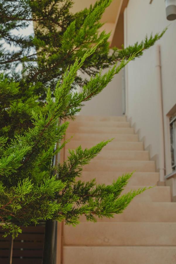 Elena Apartments - Bed and Breakfast Kato Daratso