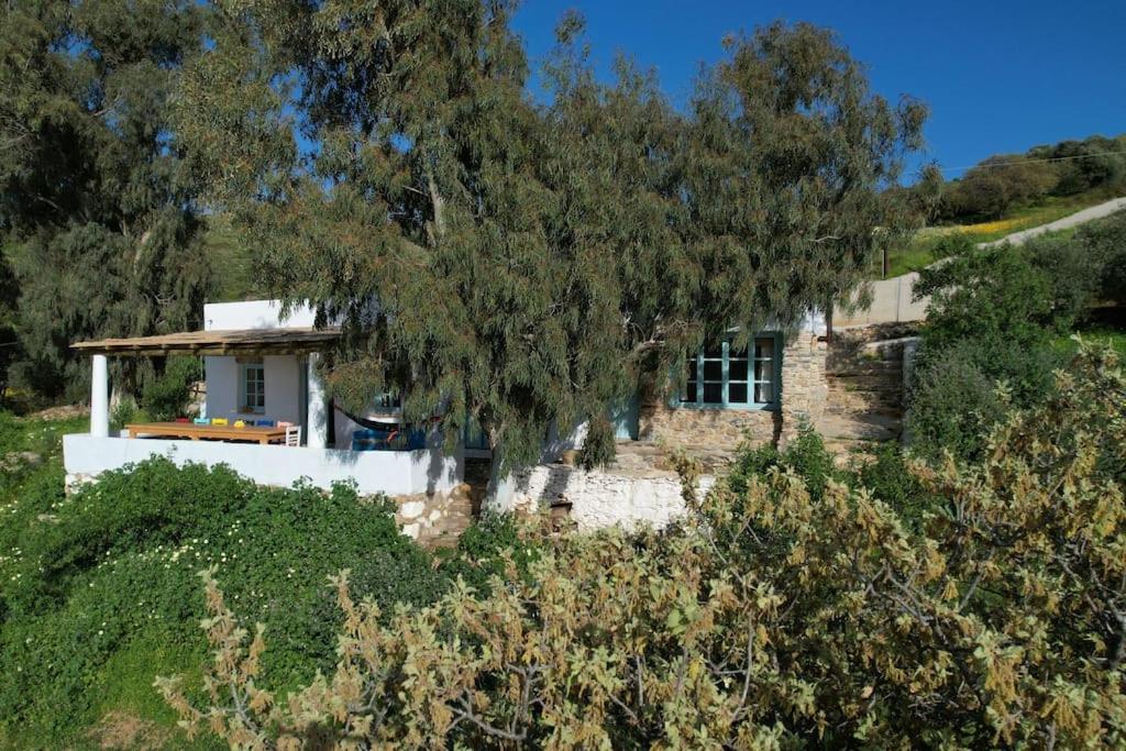 Annas Katikia - Chambres d’hôtes Drimonas