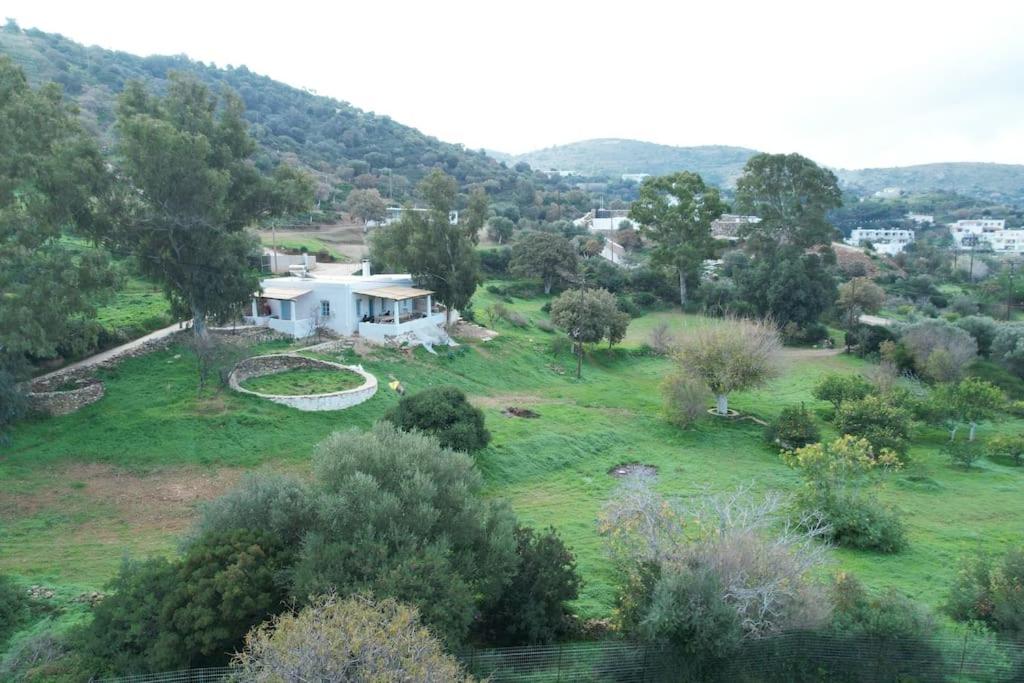 Annas Katikia - B&B Drimonas