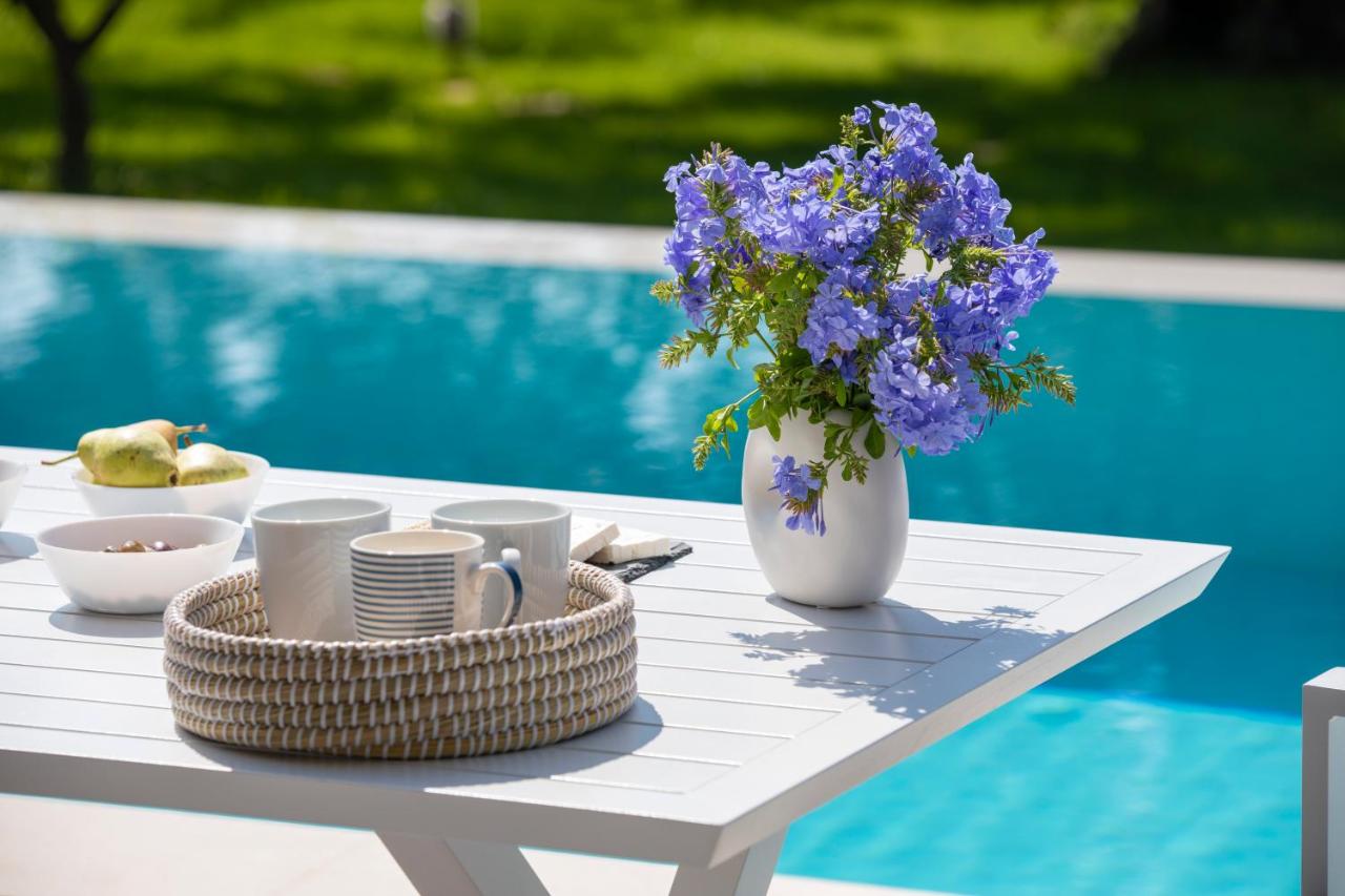 B&B Nidri - Averto Villas with private pool - Bed and Breakfast Nidri