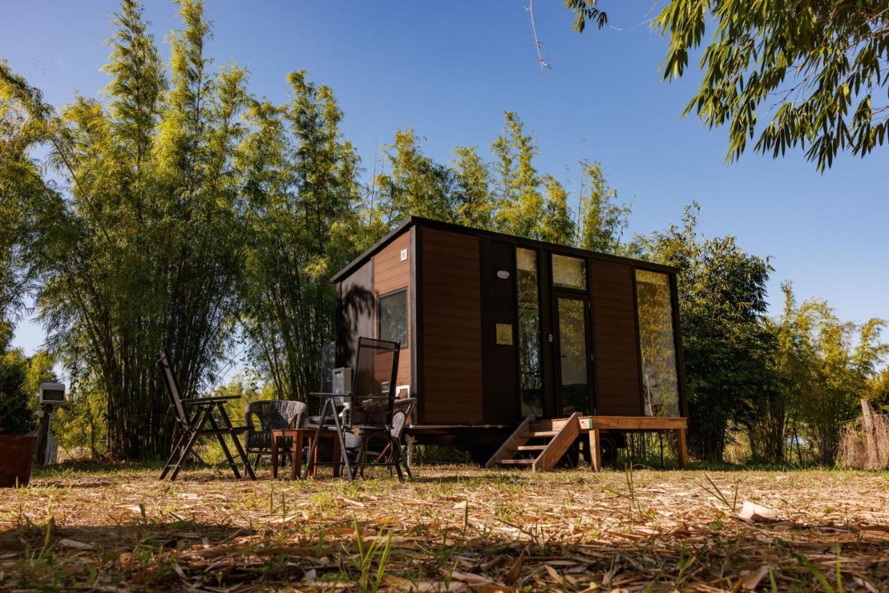 Bamboo Grove by Tiny Away - B&B