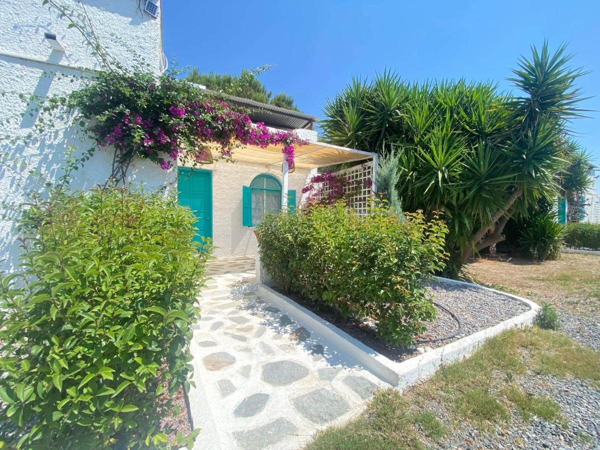 Peaceful Cottage House - Private Garden - B&B Analipsi