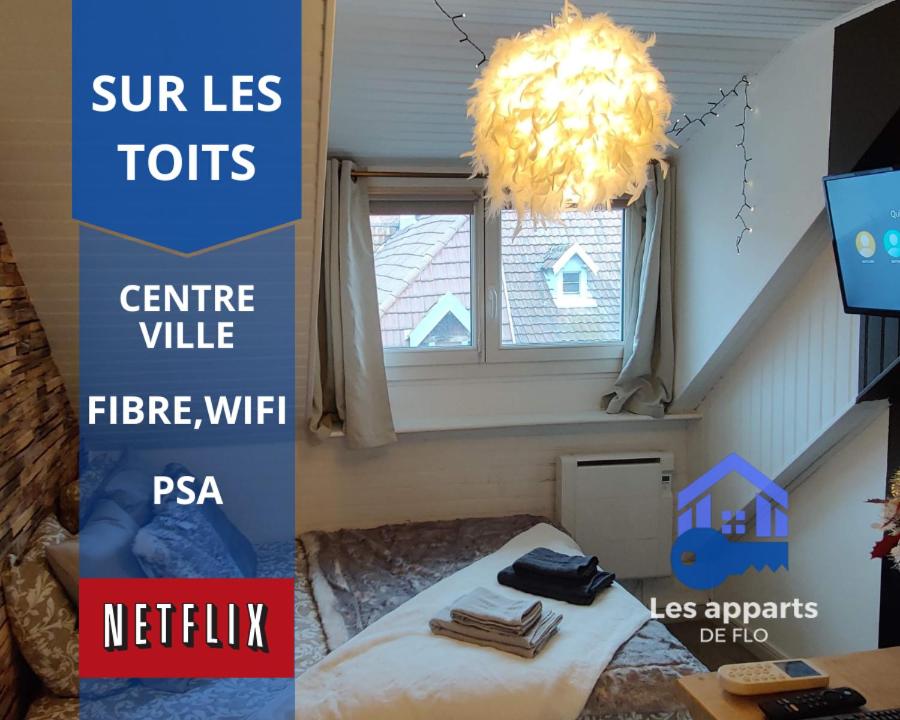 B&B Montbéliard - Sur les toits, studio centre-ville, WIFI Netflix - Bed and Breakfast Montbéliard