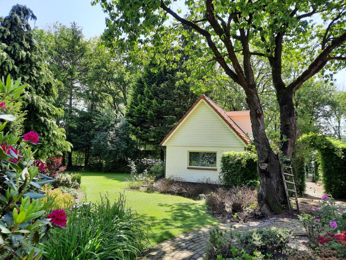 De Boogschutter - Kersenboom - B&B Langenboom