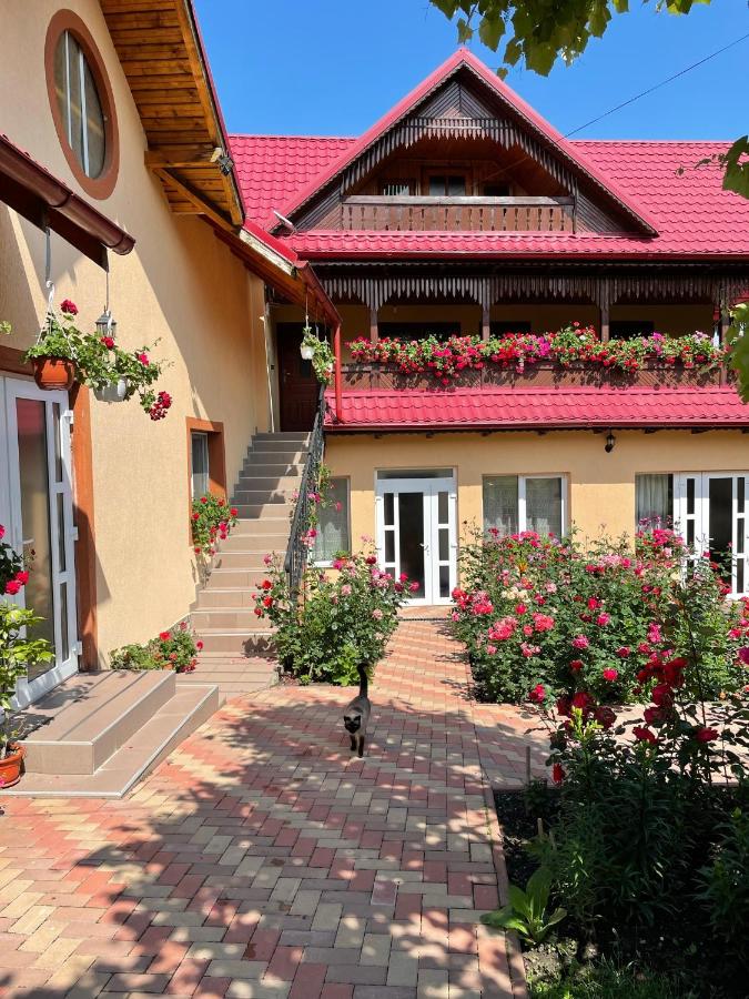Pensiunea Alina - Ferienwohnung