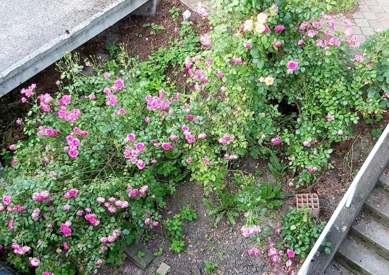 Miya Free parking - Ferienwohnung Sarajevo