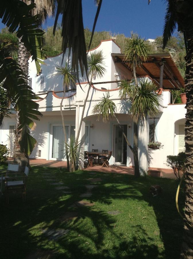 Villa la Dimora di Zoè - B&B Forio