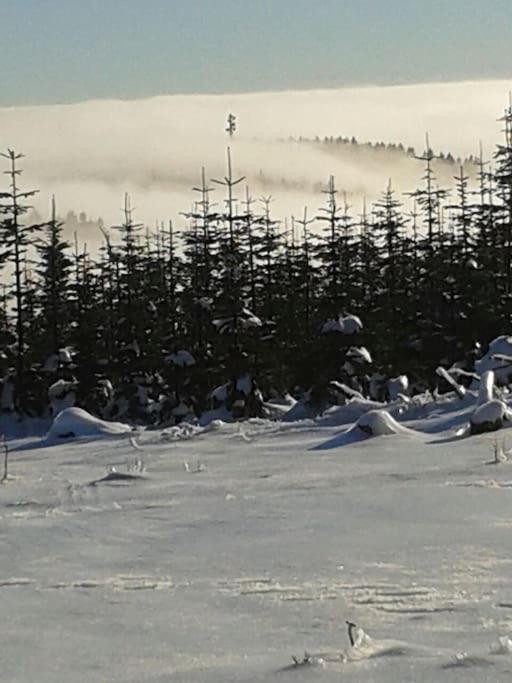 Appartamento con Balcone