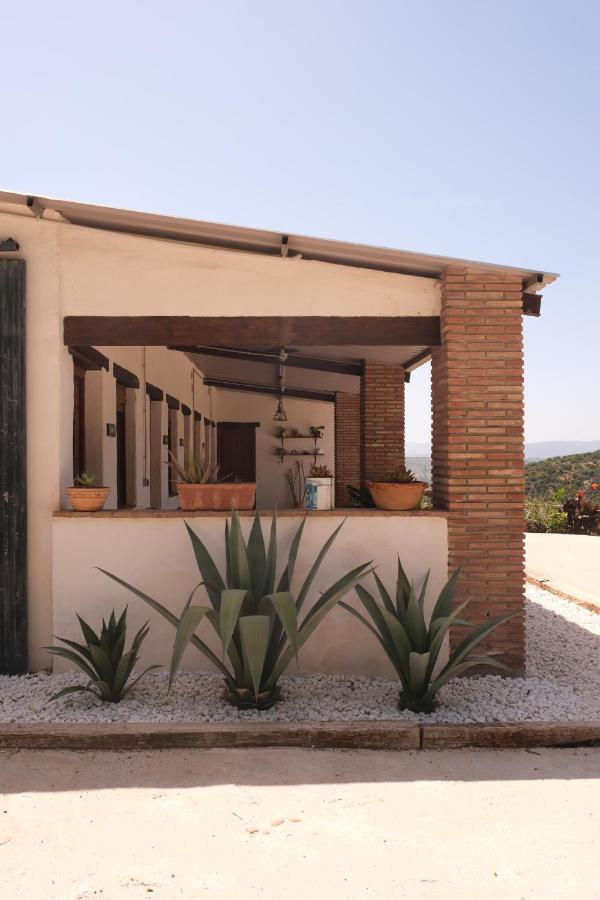 The Wild Olive Andalucía Agave Guestroom - B&B